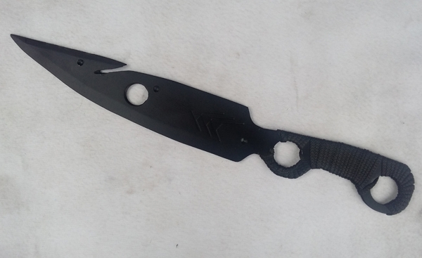 Destiny - Hunter Knife Without Painted image 2