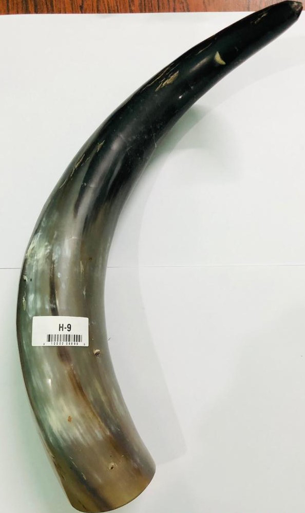 Horn Mug