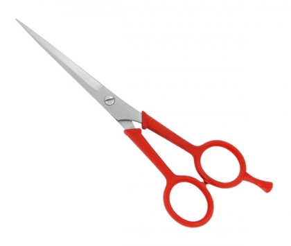 Plastic Handle Shears