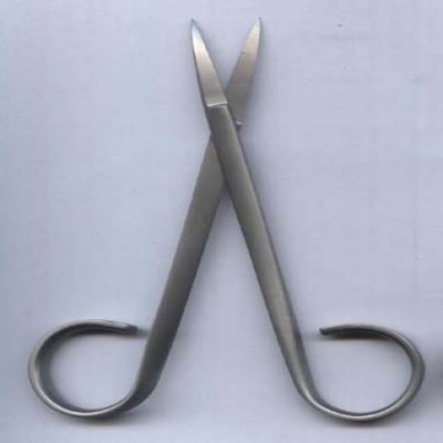 Fishing Scissor