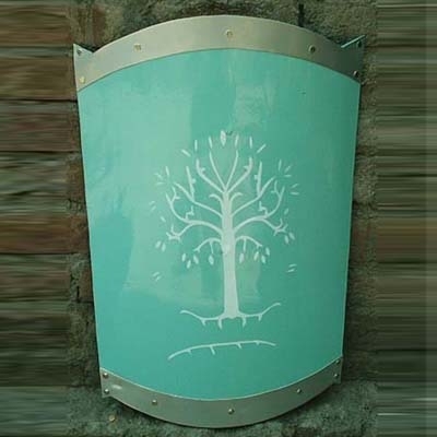 Medieval Metal Shield