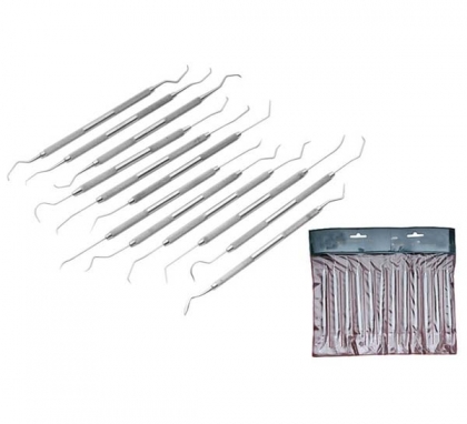 12PCS ASSORTED DENTAL PICKS